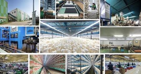 昆山張浦鎮(zhèn)食用菌出口北美市場(chǎng)