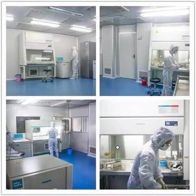 國際護士節(jié)|最美護士帶你看懂基因檢測與常規(guī)體檢的區(qū)別