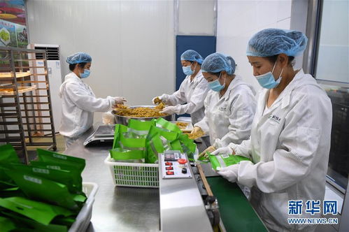 菖蒲塘村的 甜蜜 事業(yè)